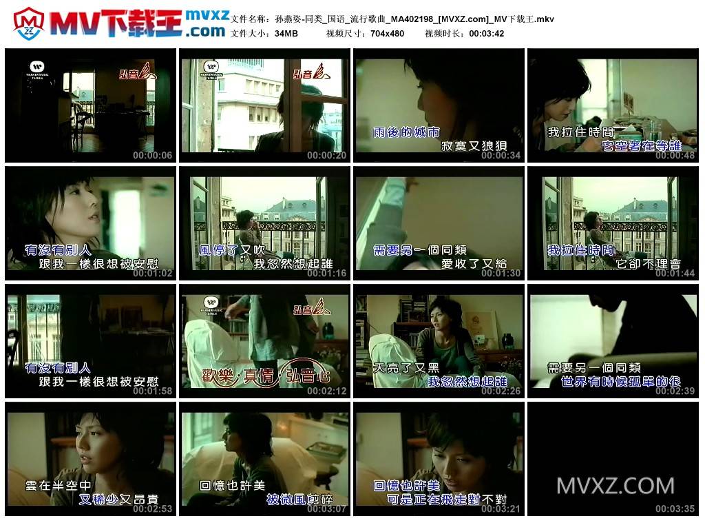 孙燕姿-同类_国语_流行歌曲_MA402198